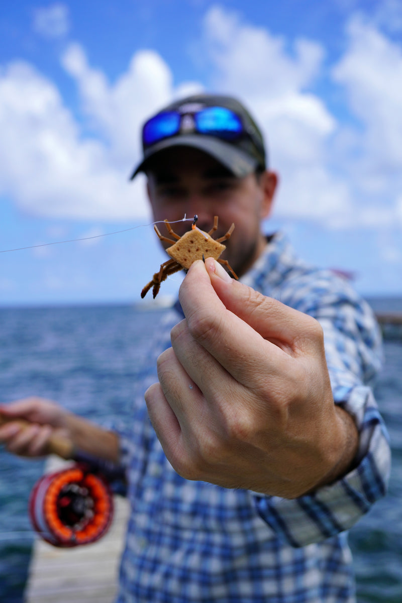 Owner Dave McKenna holding a brown D-Back Crab