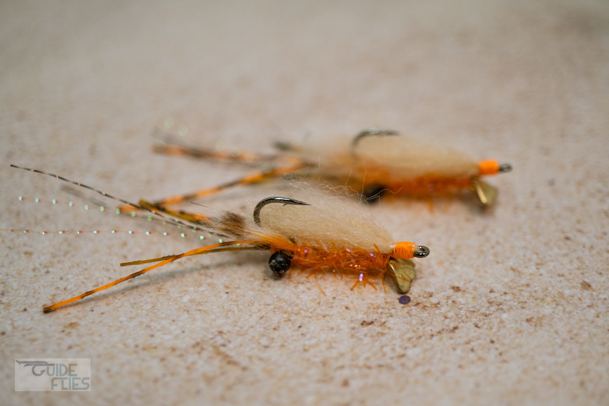 Spawning Shrimp