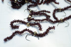 Flies tied with a tear-drop tungsten bead head and colored with black chewing gum chenille