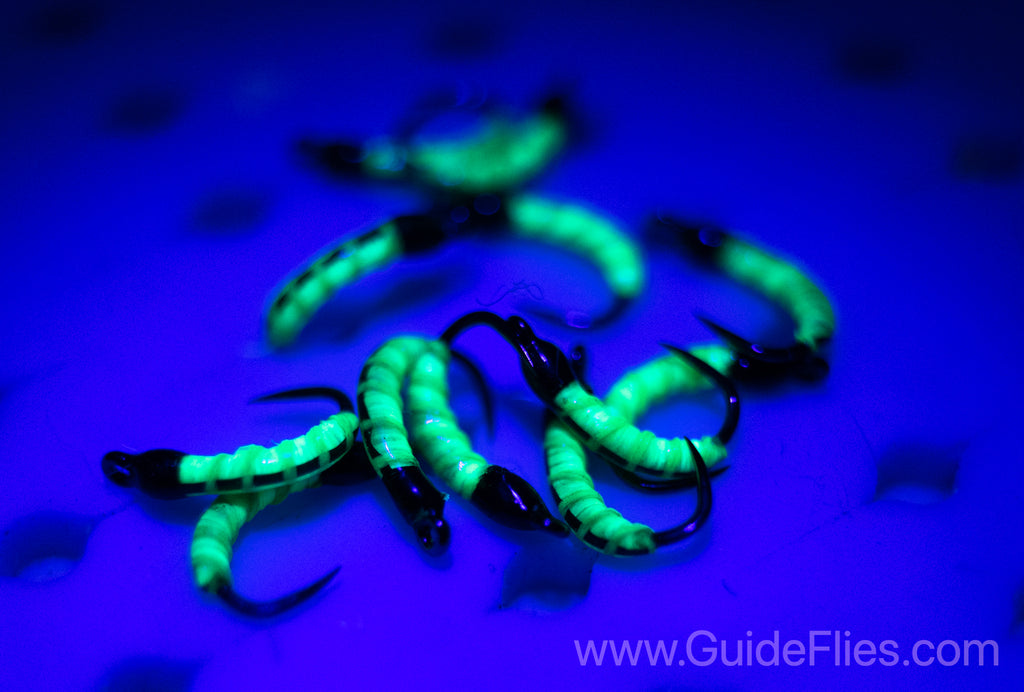 Fluorescent Nano Glow Caddis Transparent strands of Semperfli's Fluorescent Flat Braid Semperfli Fluoro Brite thread thin coat of Solarez UV Resin Bright Green