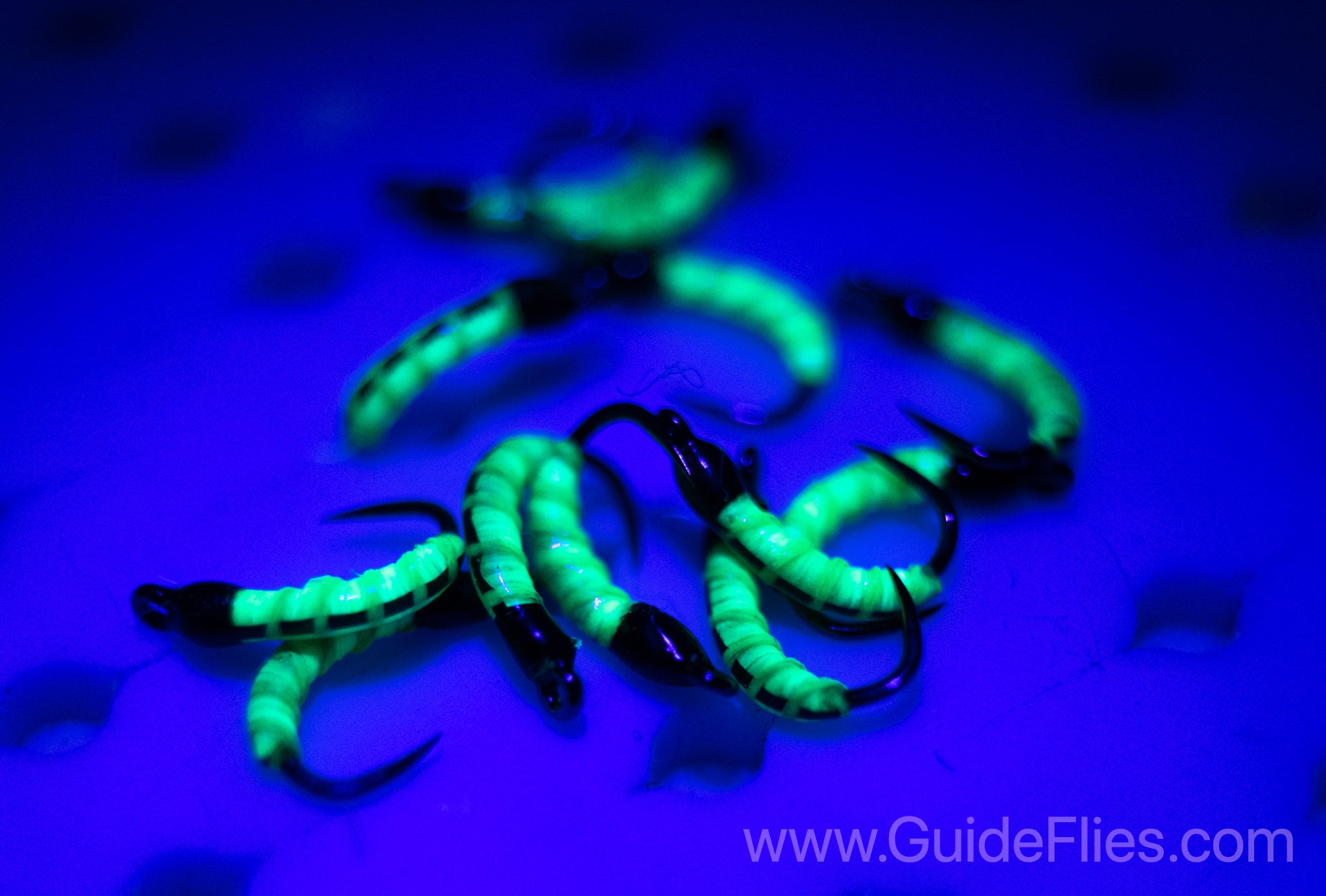Fluorescent Nano Glow Caddis Transparent strands of Semperfli's Fluorescent Flat Braid Semperfli Fluoro Brite thread thin coat of Solarez UV Resin Bright Green