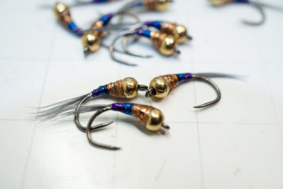 Gold Digger Perdigon Nymph with heavy gold tungsten bead and a purple blue and copper metallic body oversize comp hook