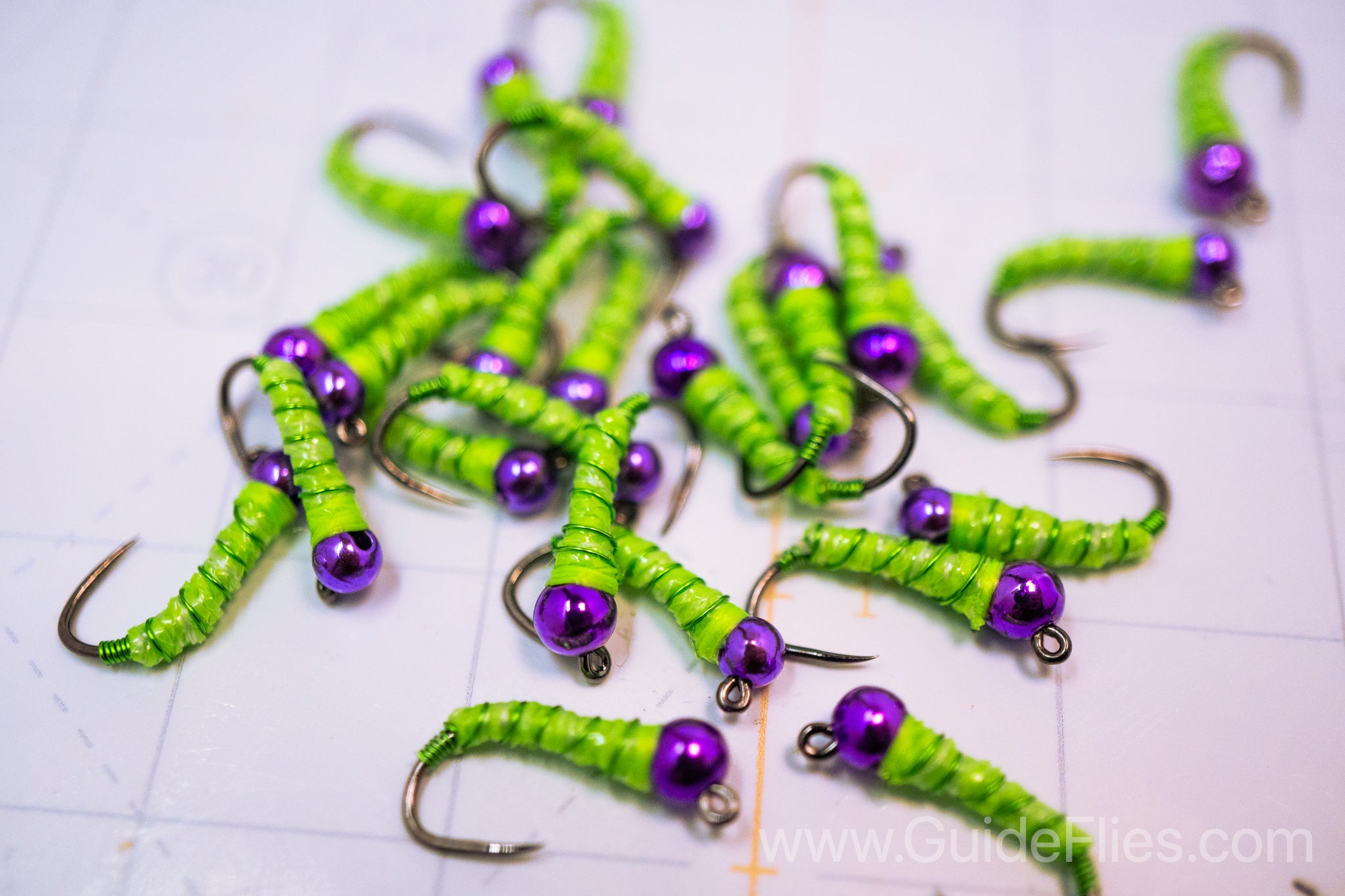 Nuclear Wired Walt's Worm