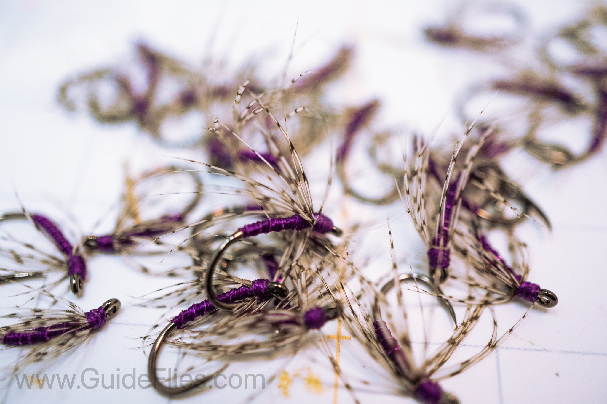 Partridge & Purple Soft Hackle