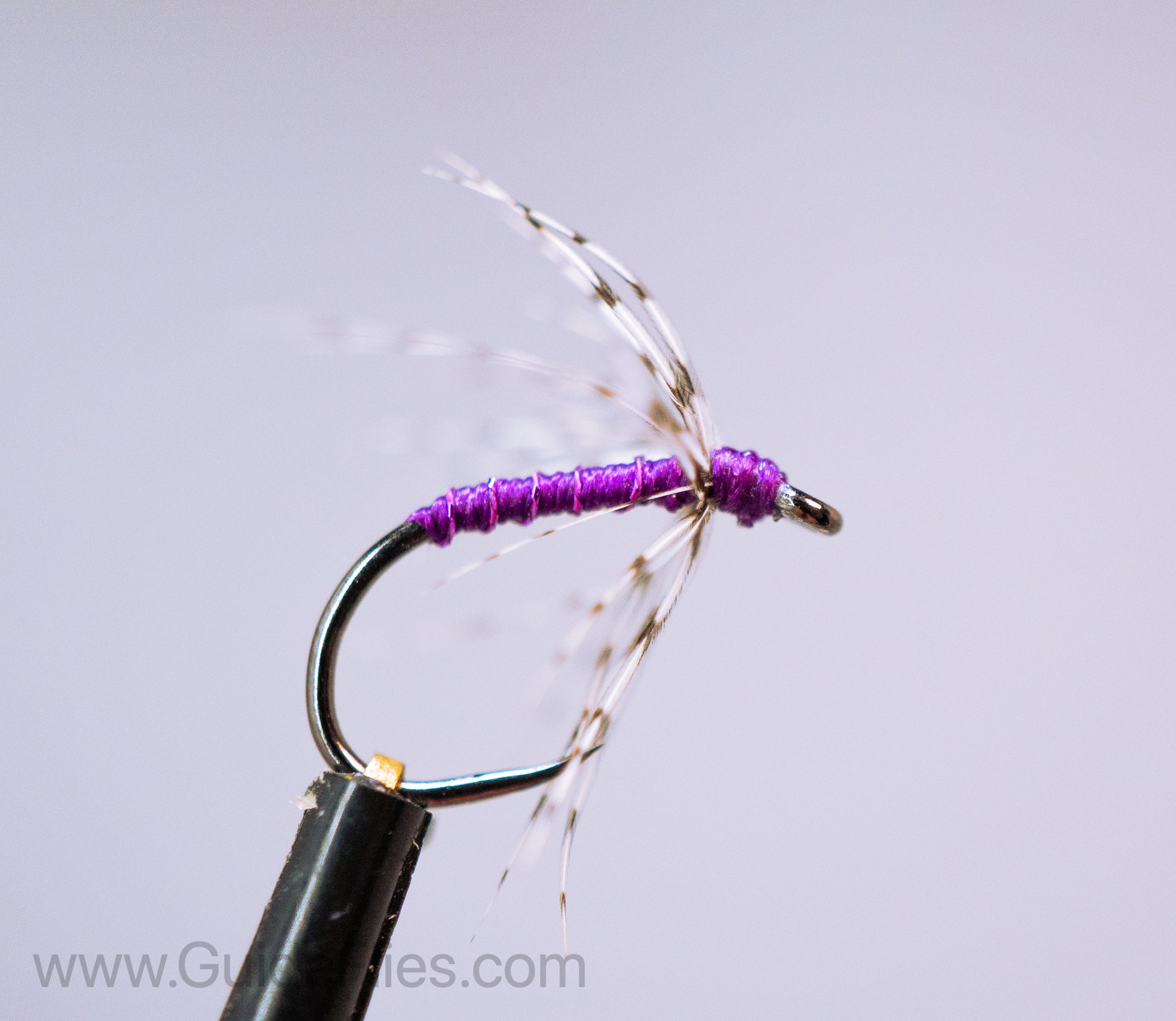 Partridge & Purple Soft Hackle