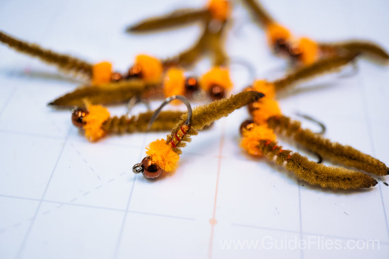 Guide Perdi-Juan Worm