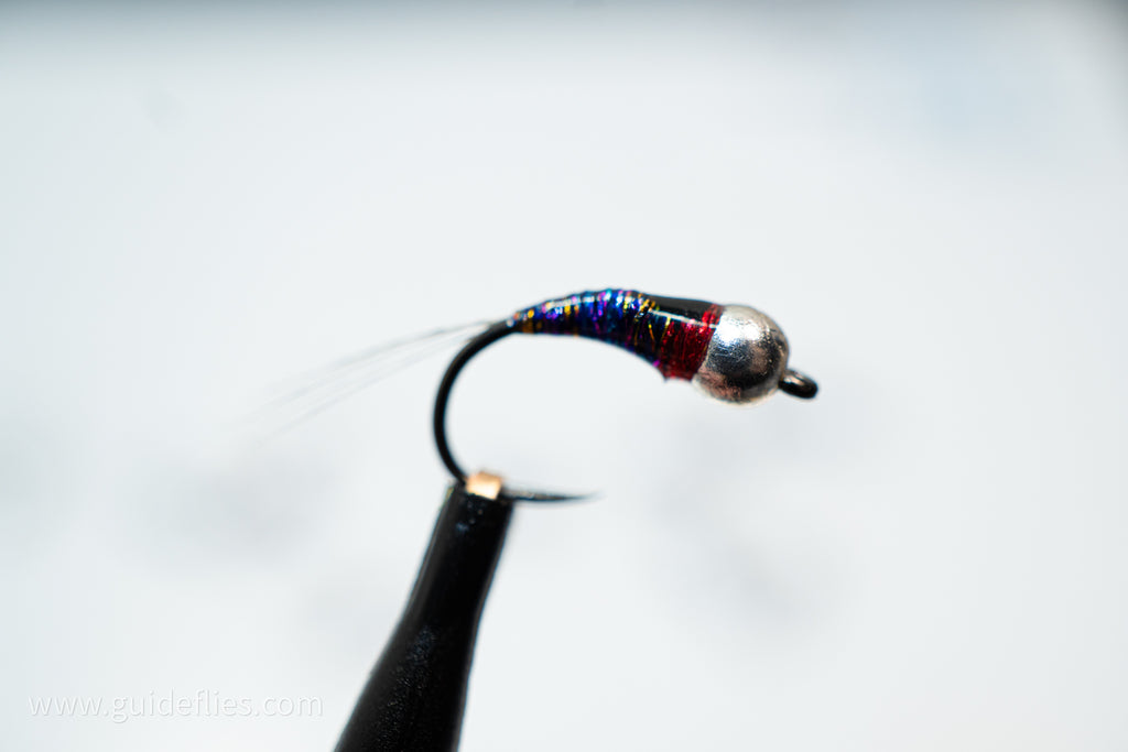 Purple Rainbow Perdigon