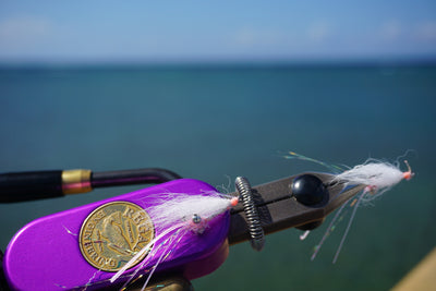 Bahamas Bonefish Fly Kit [BF-bk] - $0.00 : Strike-Zone Fly Fishing