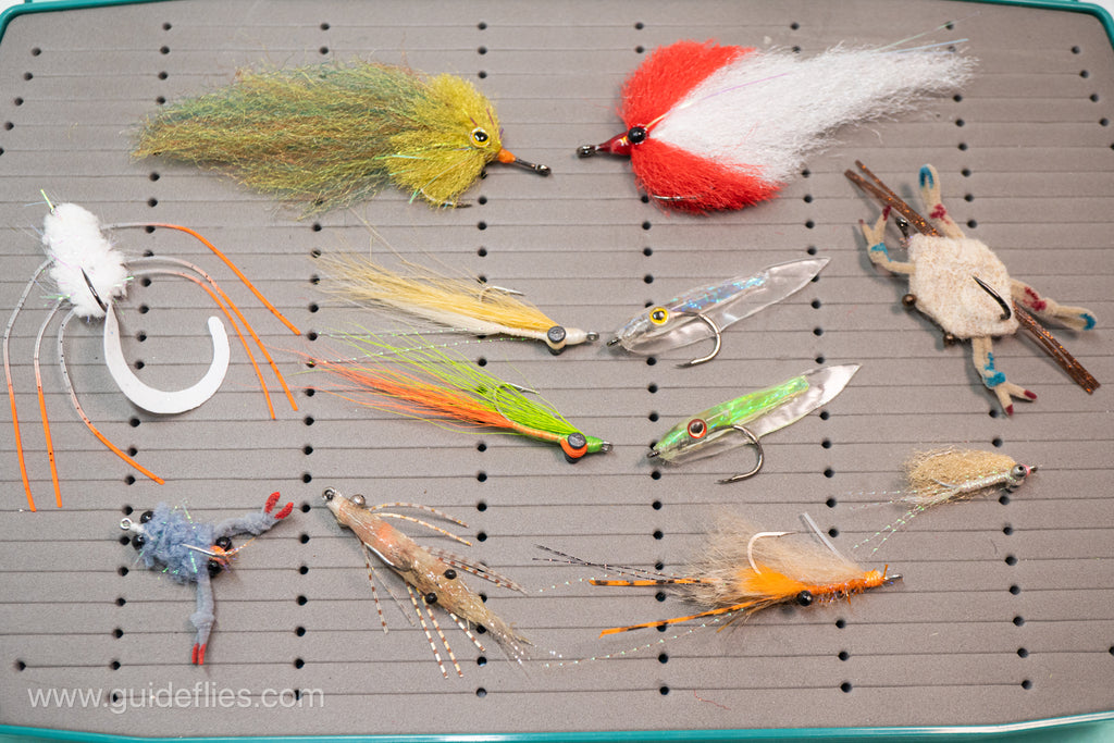 coastal box fishing Ultimate Southern Coastal Fly Kit – GuideFlies.com