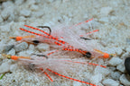 The EXO Shrimp