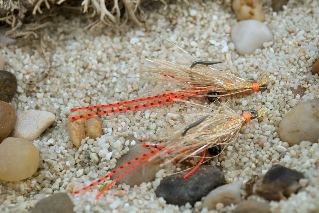 The EXO Shrimp