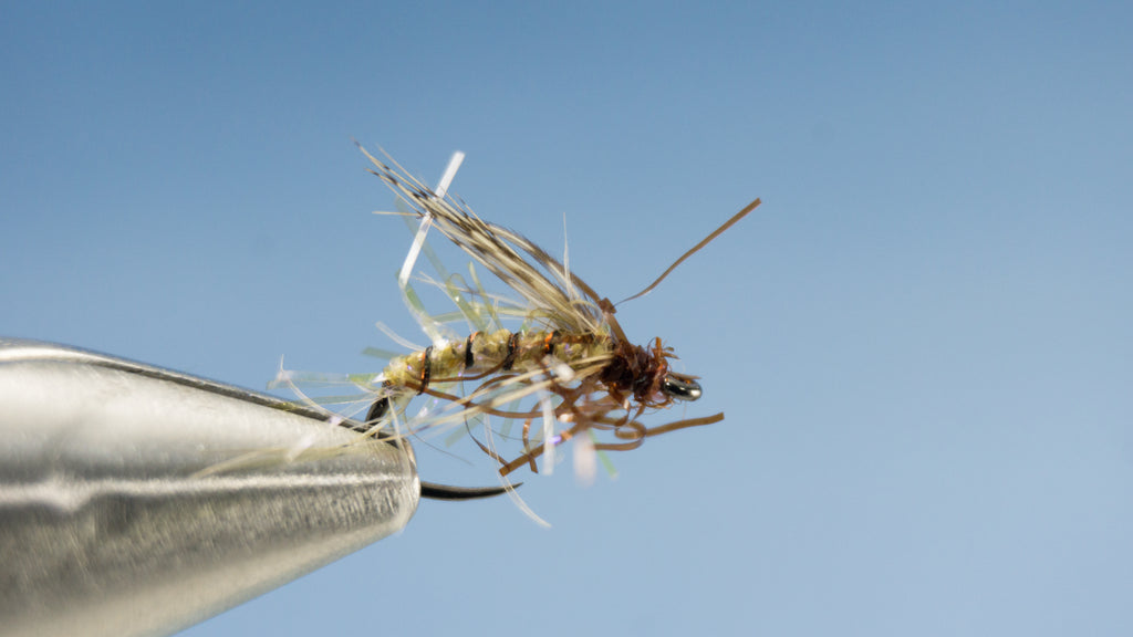 Caddis tan variation of the EDC Caddis 