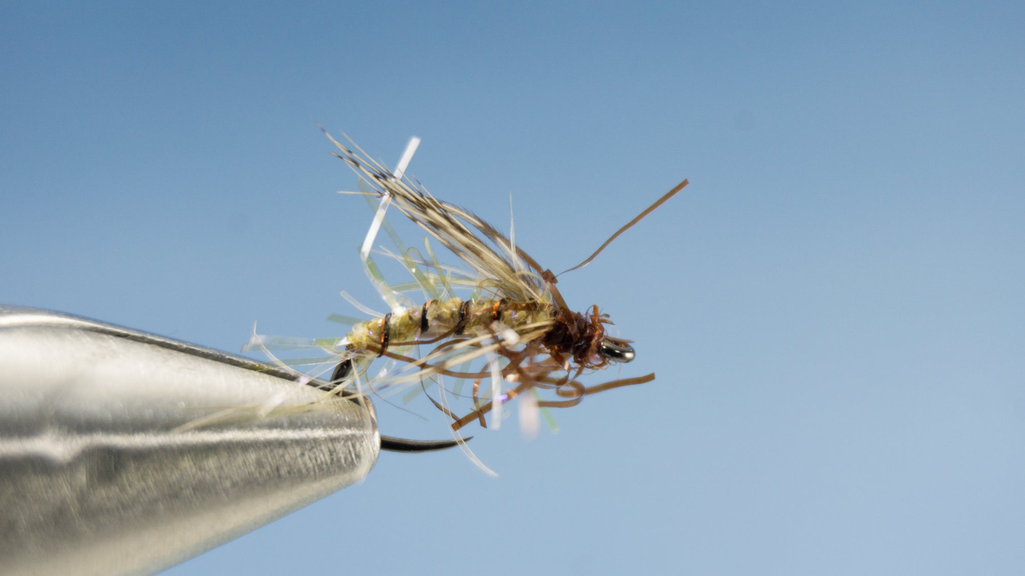 Caddis tan variation of the EDC Caddis 