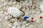 Body Guard Crab tied with white material using a Umpqua X-Series XS410 Flats hook design has a prominent claw